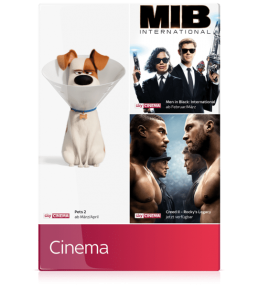 sky cinema paket